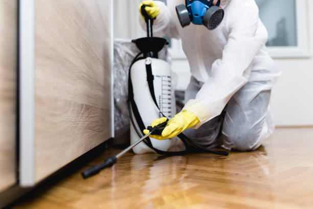 Best Emergency Pest Control  in Derma, MS