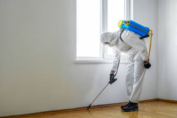 Reliable Derma, MS Pest Control Solutions
