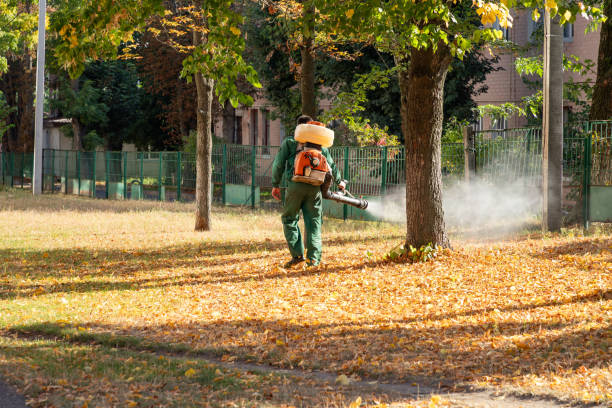 Best Local Pest Control Services  in Derma, MS